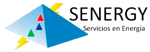 logo senergy